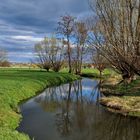 Frühlingserwachen am " Löbauer Wasser"