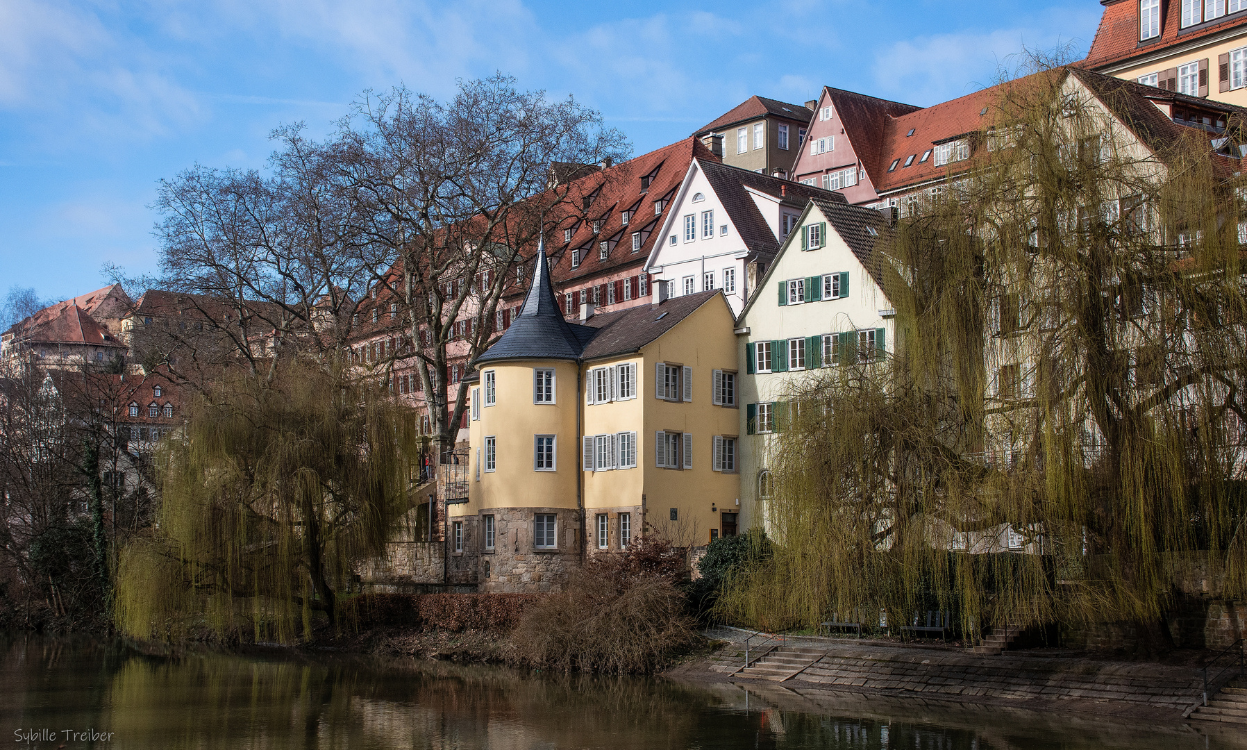 Frühlingserwachen am Neckar