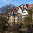Frühlingserwachen am Neckar