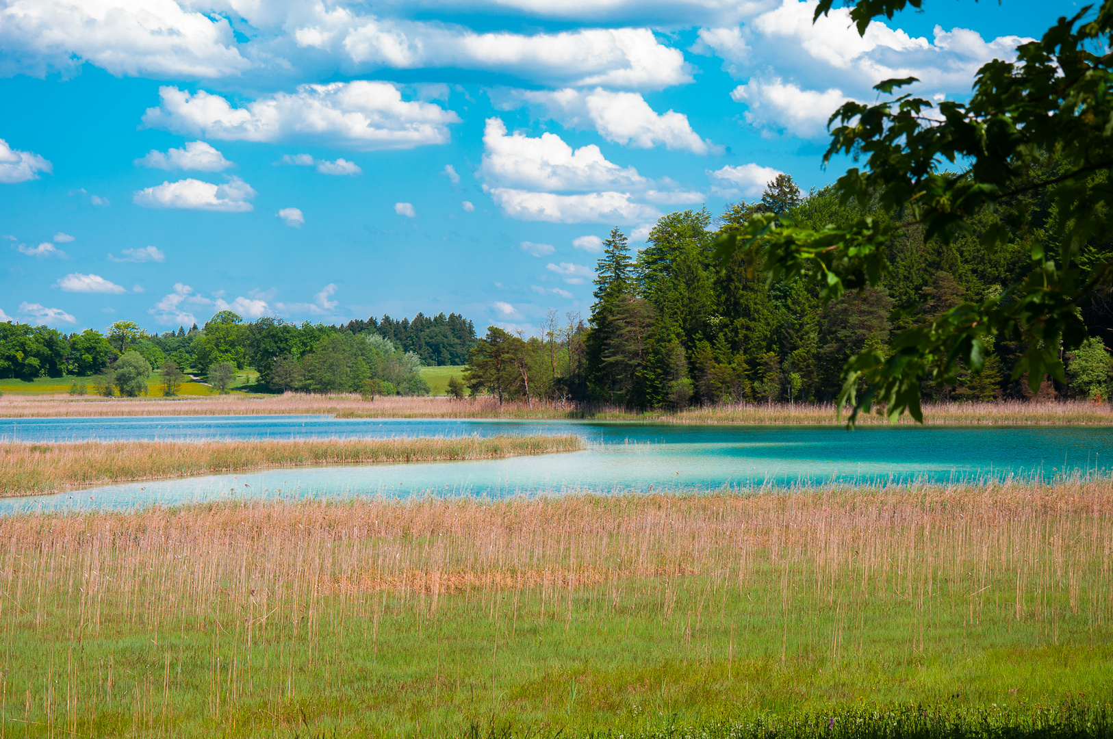 Frühlingserwachen am Ostersee