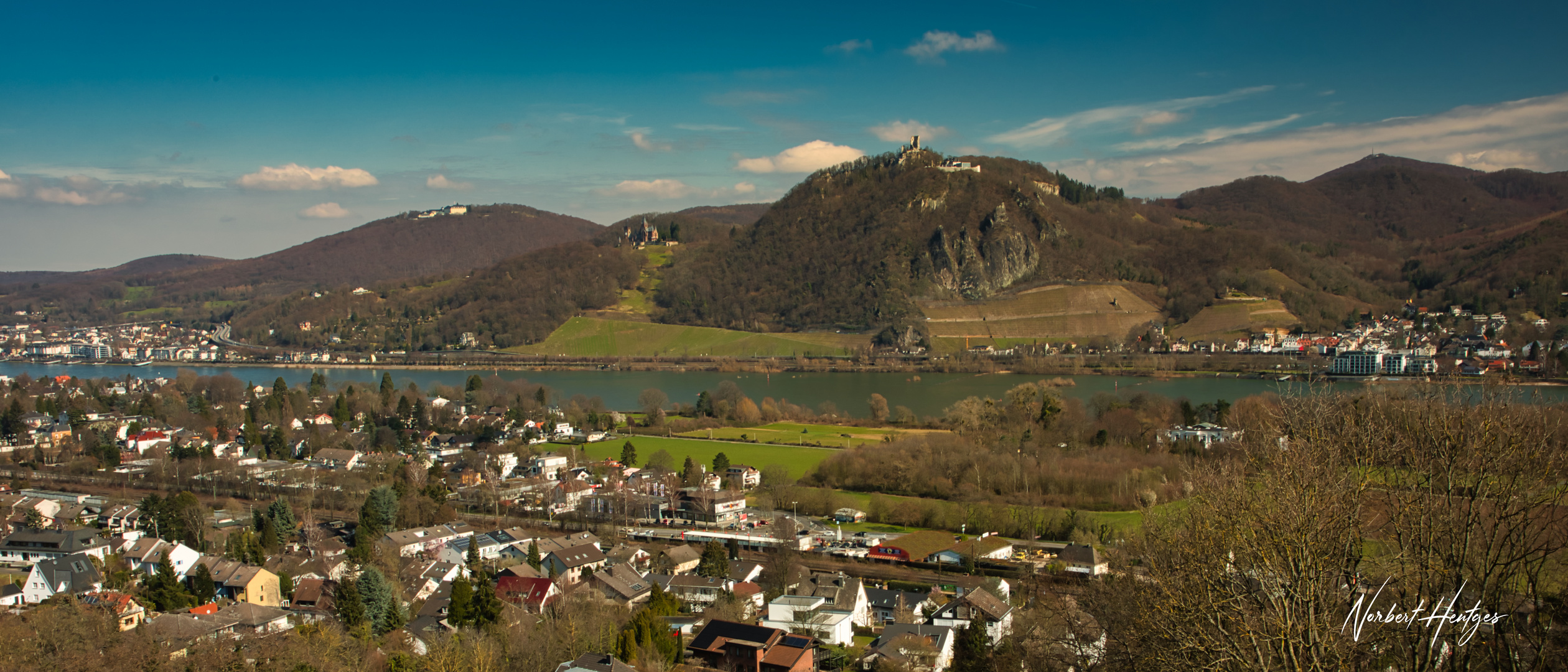 Frühlingserwachen am Rhein