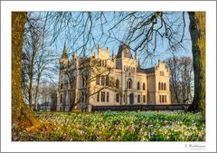 "Frühlingserwachen am Schloss Evenburg in Leer-Loga"