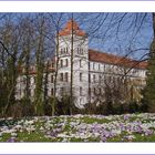 Frühlingserwachen am Schloss in Aurich