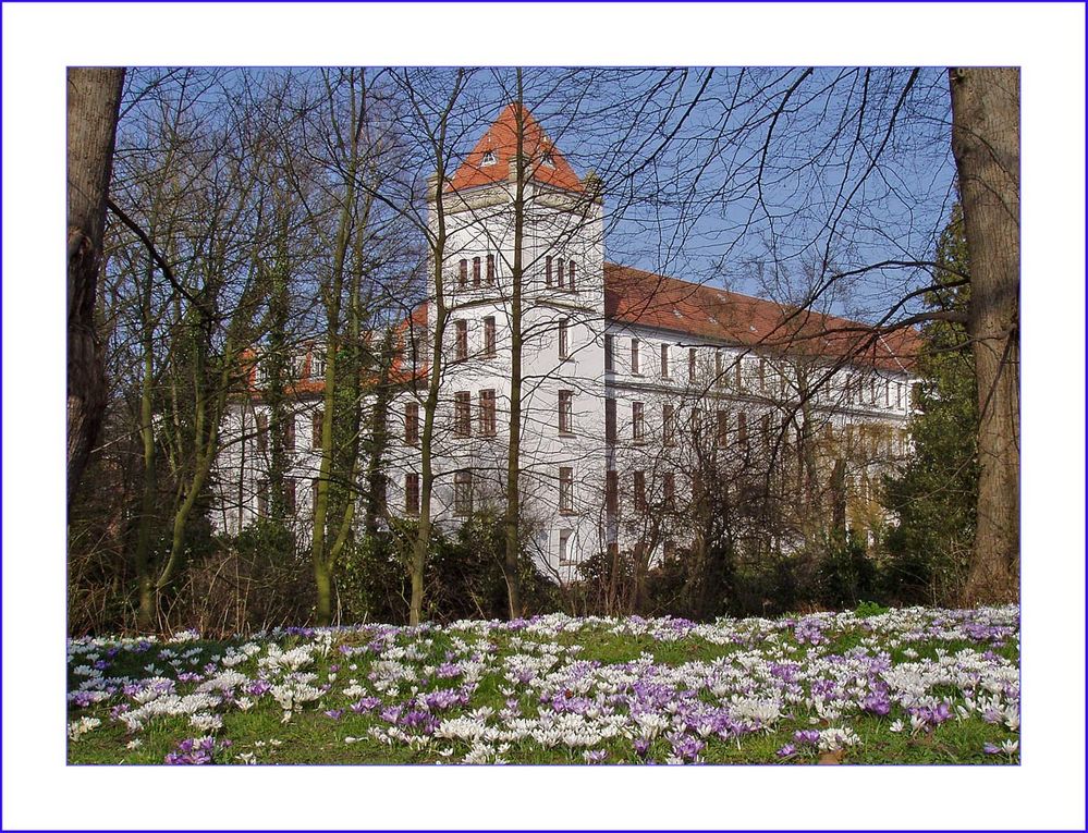 Frühlingserwachen am Schloss in Aurich