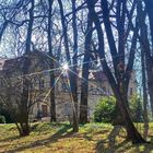 Frühlingserwachen am Schloss Tannefeld  