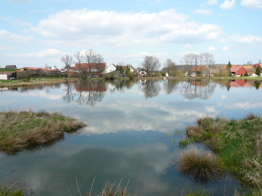 " FRÜHLINGSERWACHEN AM SEE "