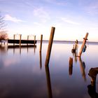 Frühlingserwachen am Steinhuder Meer **