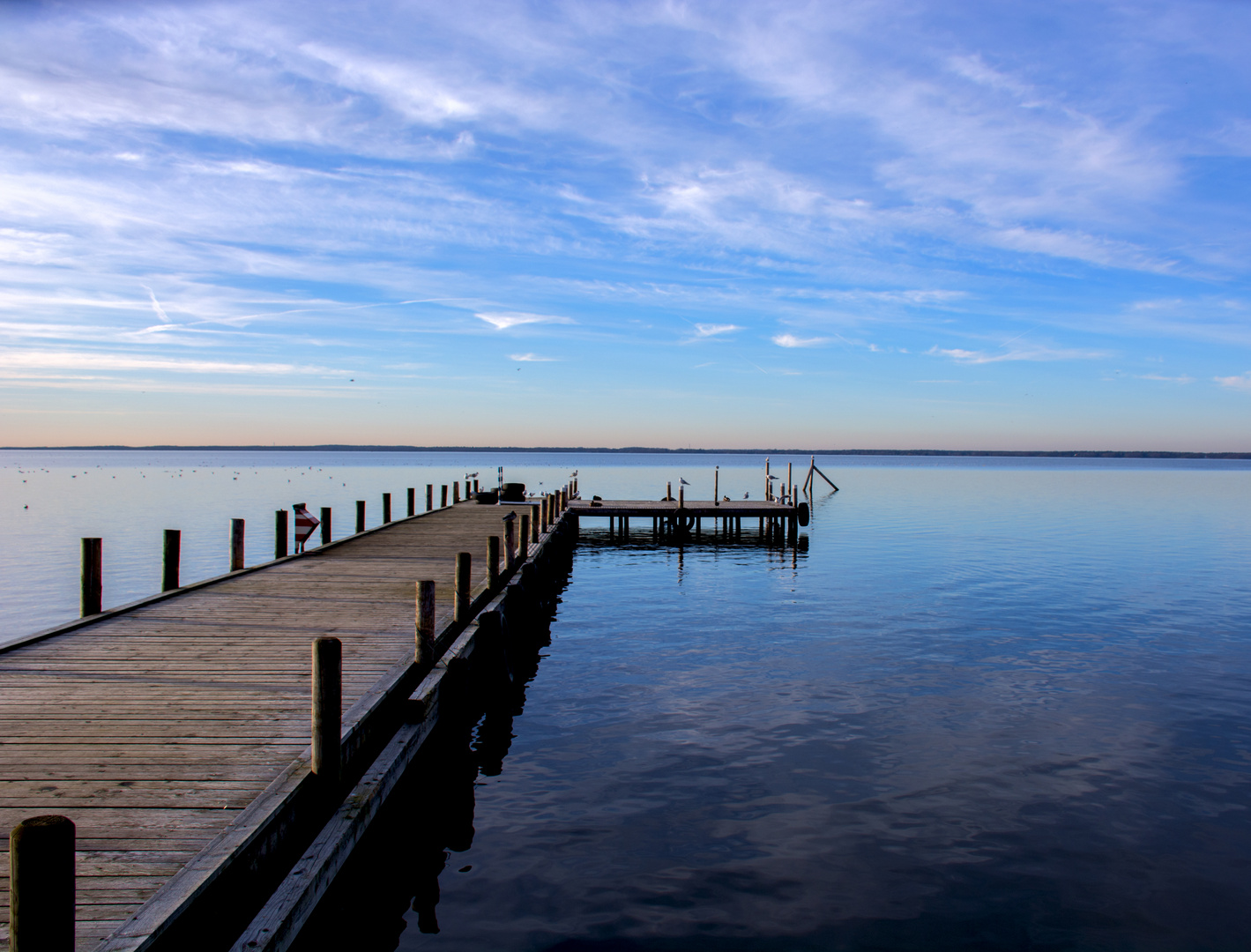 Frühlingserwachen am Steinhuder Meer *