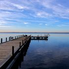 Frühlingserwachen am Steinhuder Meer *