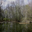 Frühlingserwachen am Vilgensee