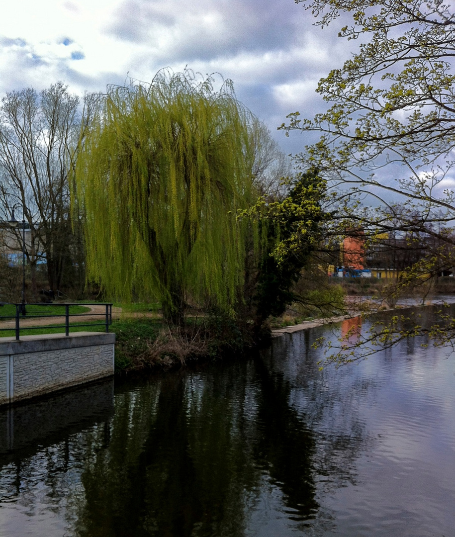 Frühlingserwachen an der Lahn