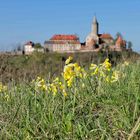 Frühlingserwachen an der Leuchtenburg