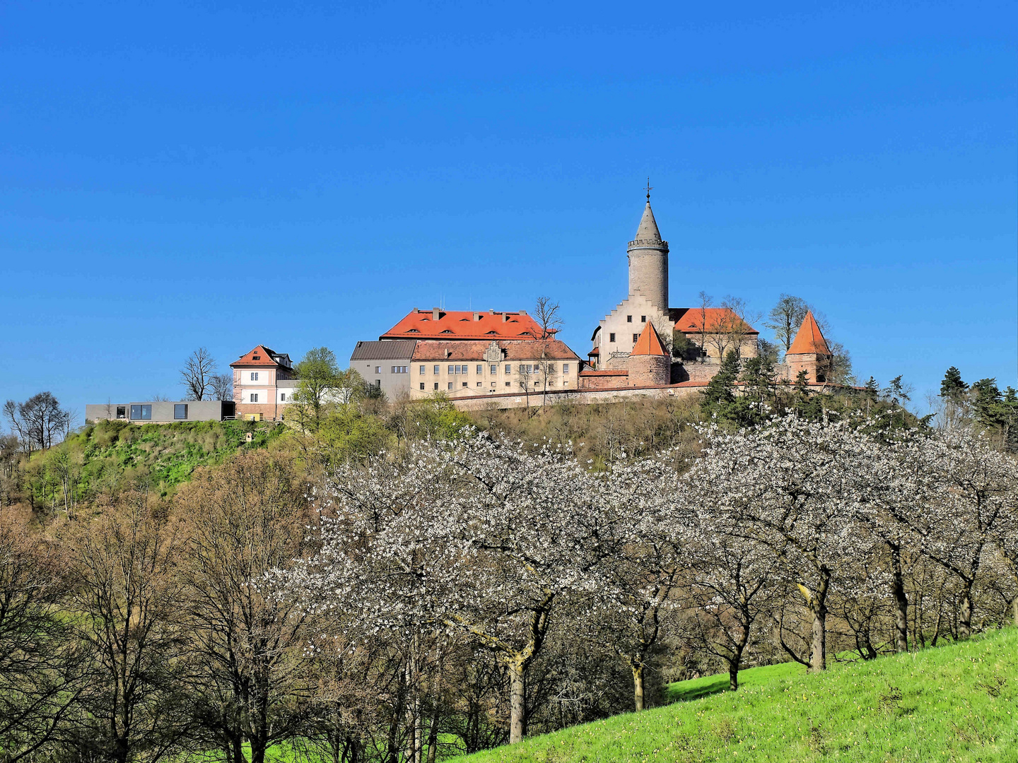 Frühlingserwachen an der Leuchtenburg II