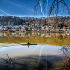 Frühlingserwachen an der Mosel