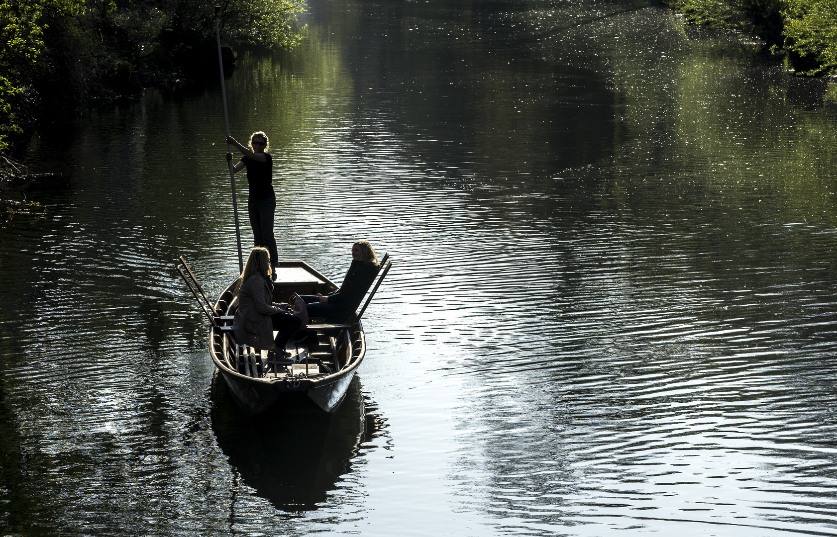 Frühlingserwachen auf dem Neckar