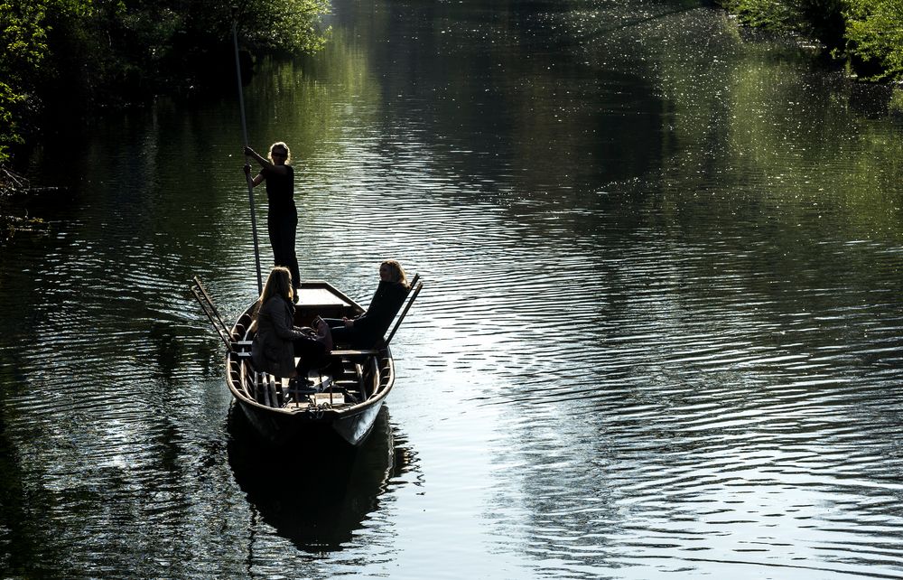 Frühlingserwachen auf dem Neckar