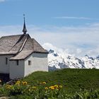 Frühlingserwachen auf der Bettmeralp