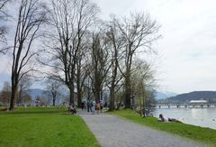 Frühlingserwachen auf der Lidowiese ...