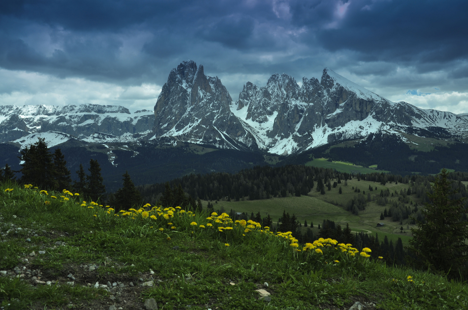 Frühlingserwachen auf der Seiser Alm