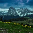 Frühlingserwachen auf der Seiser Alm