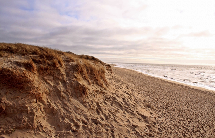 Frühlingserwachen auf Sylt