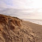 Frühlingserwachen auf Sylt