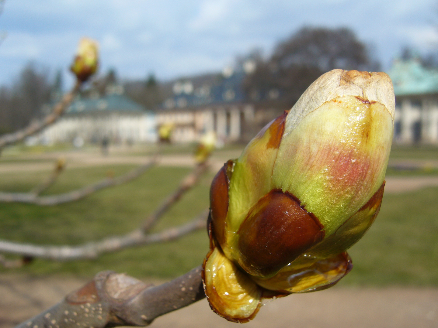 Frühlingserwachen