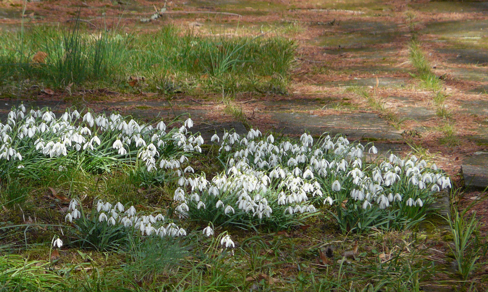 Frühlingserwachen