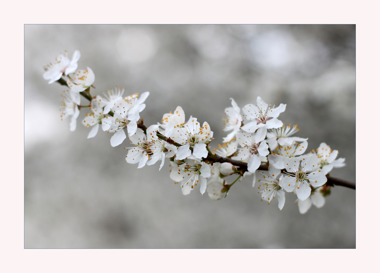 Frühlingserwachen