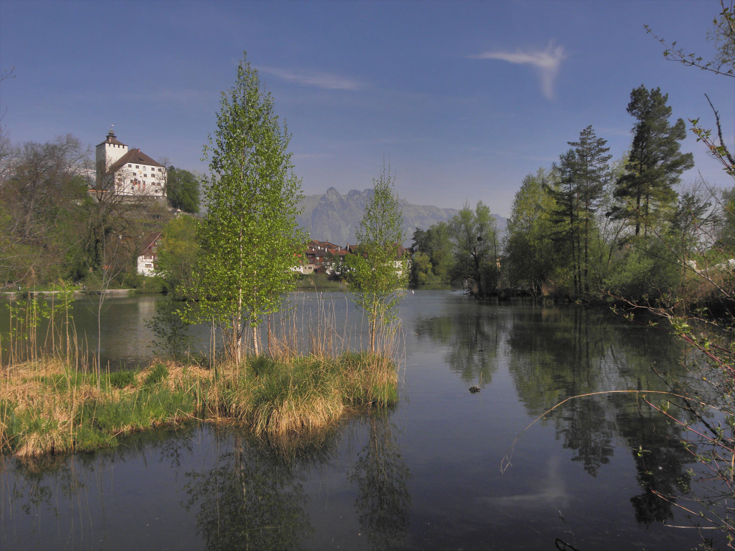 Frühlingserwachen bei Werdenberg