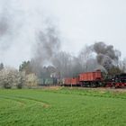 Frühlingserwachen beim Wilden Robert