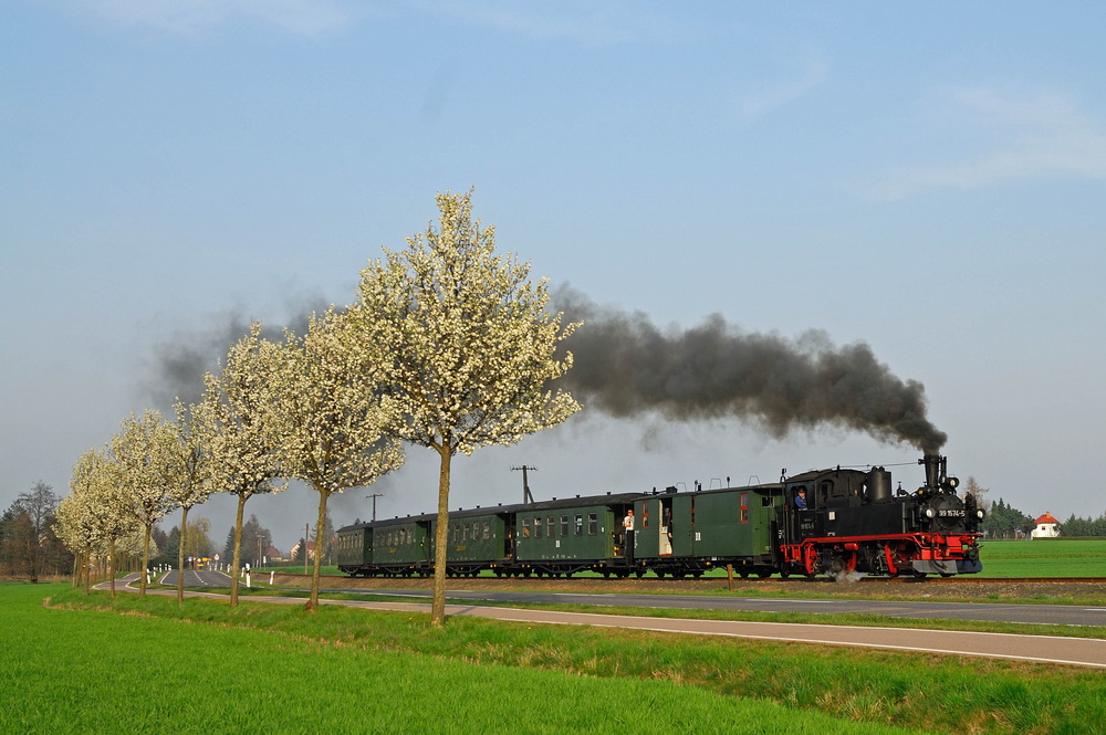 Frühlingserwachen beim Wilden Robert