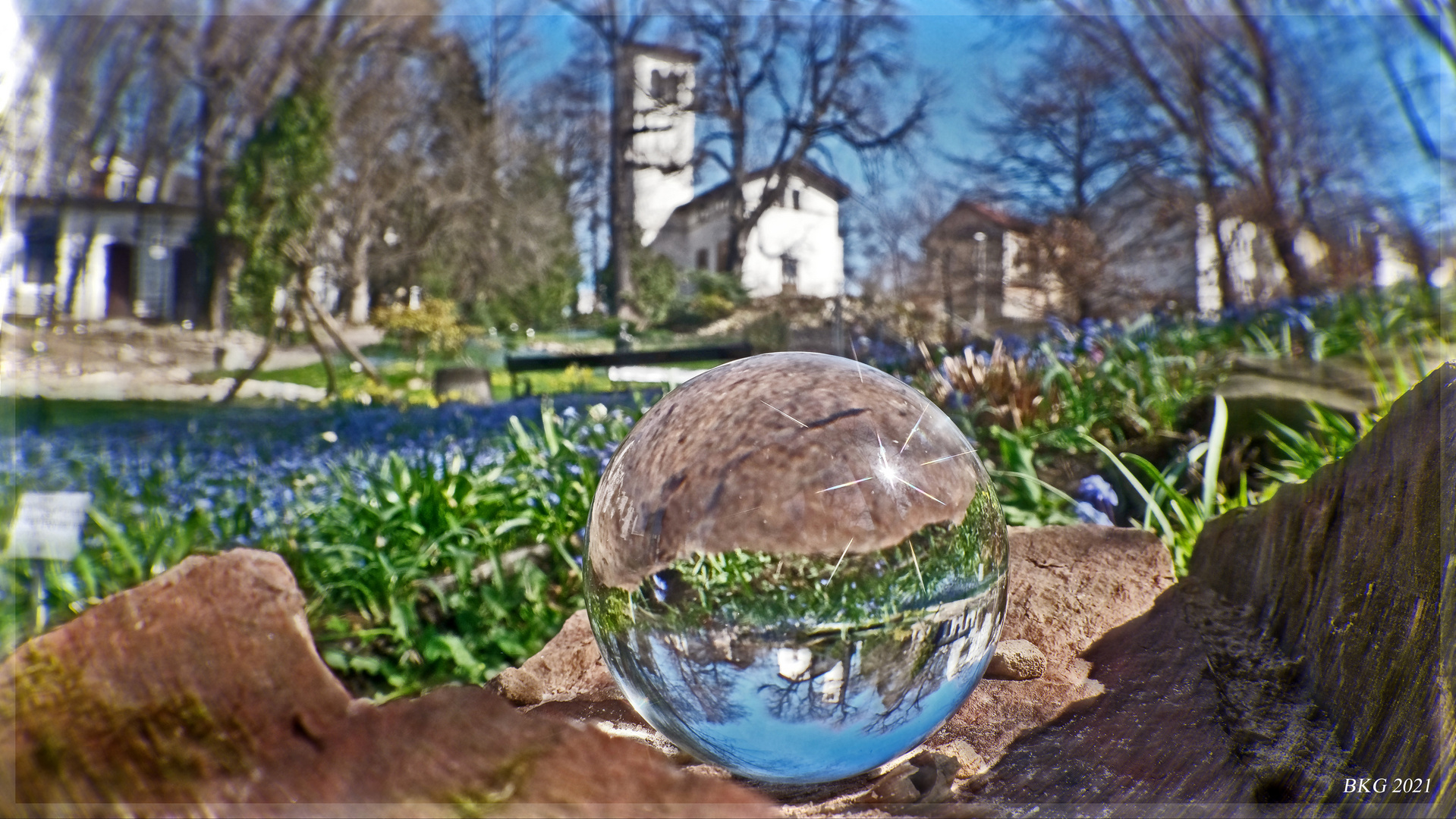 Frühlingserwachen - Bontanischer Garten Gera 