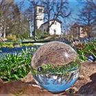 Frühlingserwachen - Bontanischer Garten Gera 