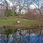 Frühlingserwachen; Botanischer Garten Gera 