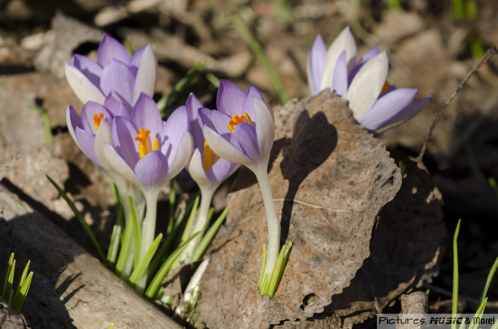 Frühlingserwachen :-)