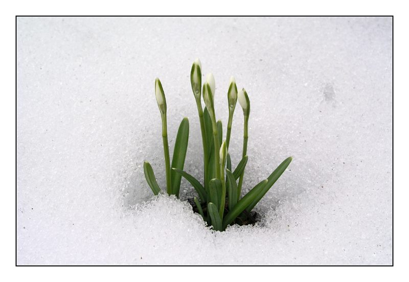 Frühlingserwachen!