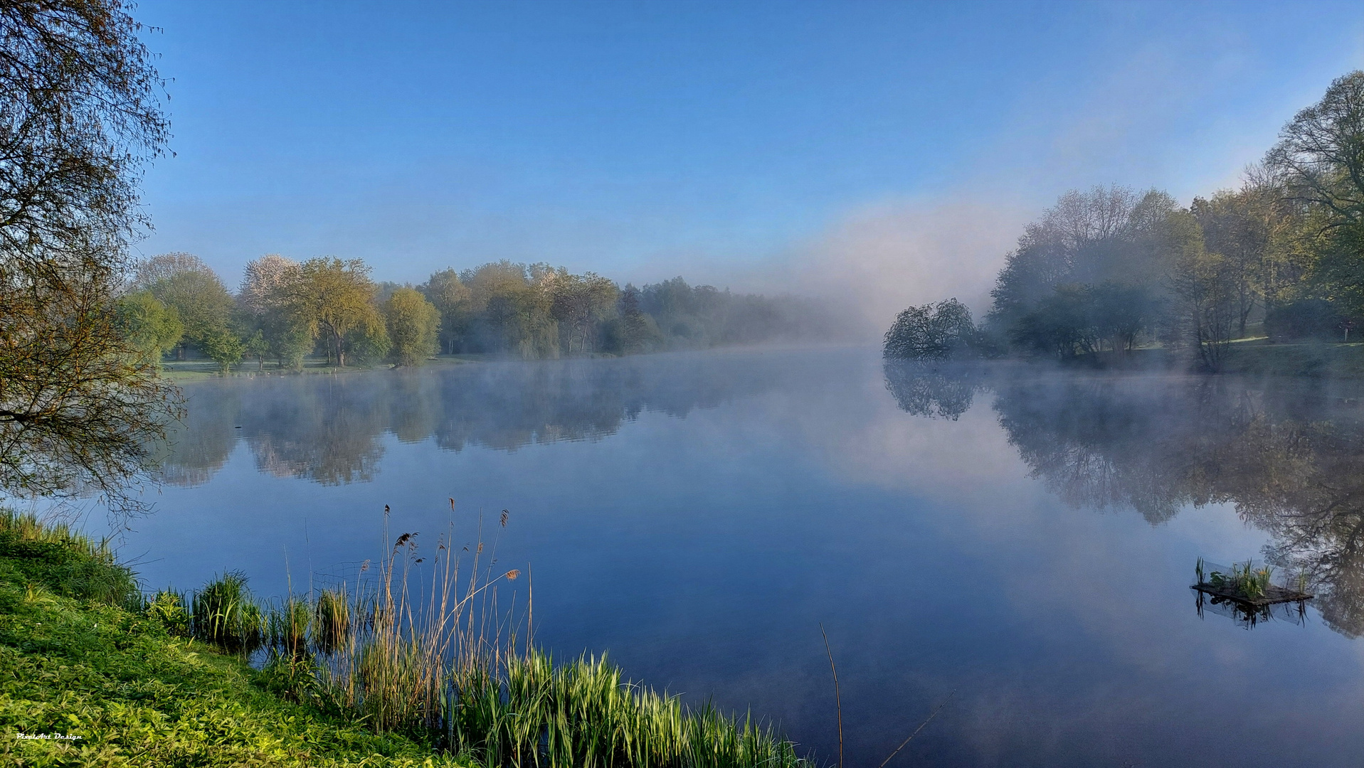 Frühlingserwachen