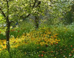 Frühlingserwachen