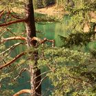 Frühlingserwachen Eibsee III