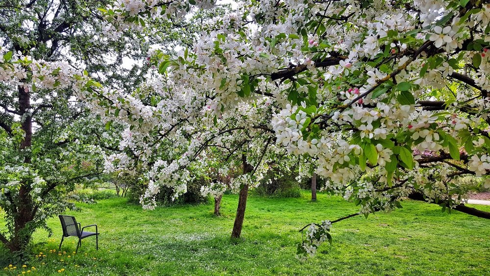 Frühlingserwachen