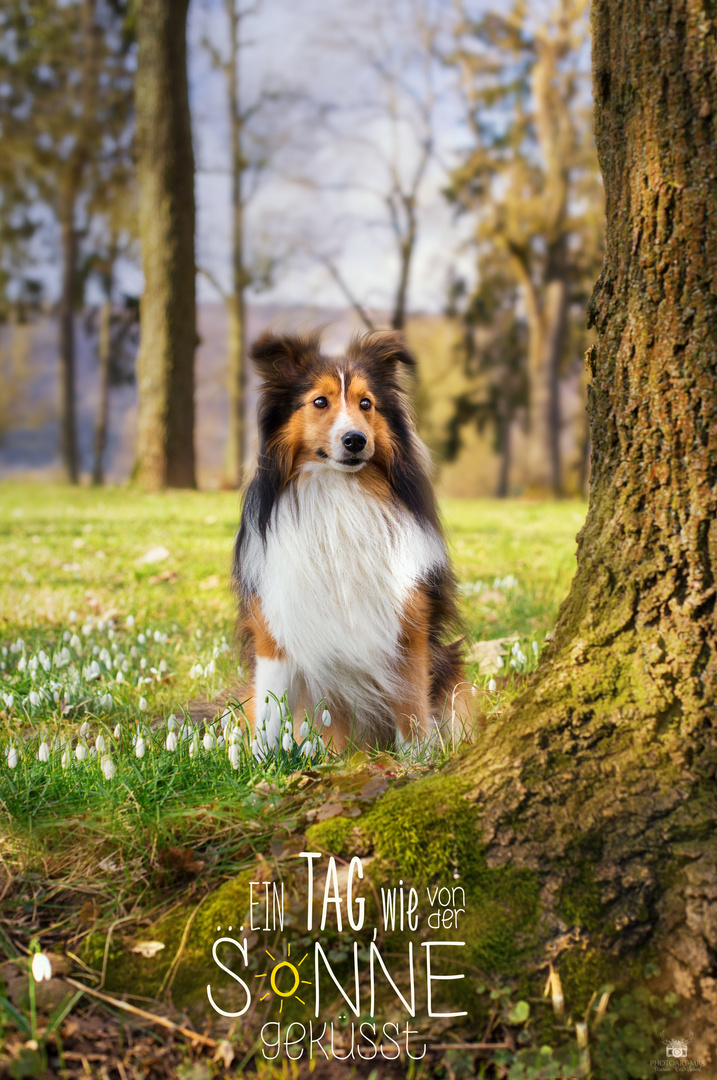 Frühlingserwachen