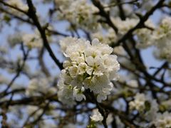 Frühlingserwachen !