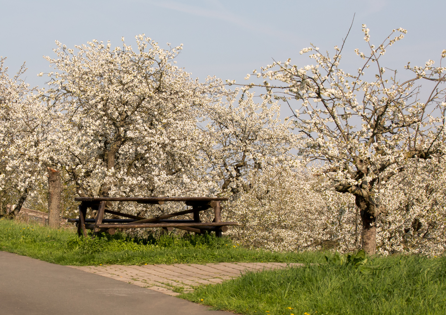 Frühlingserwachen