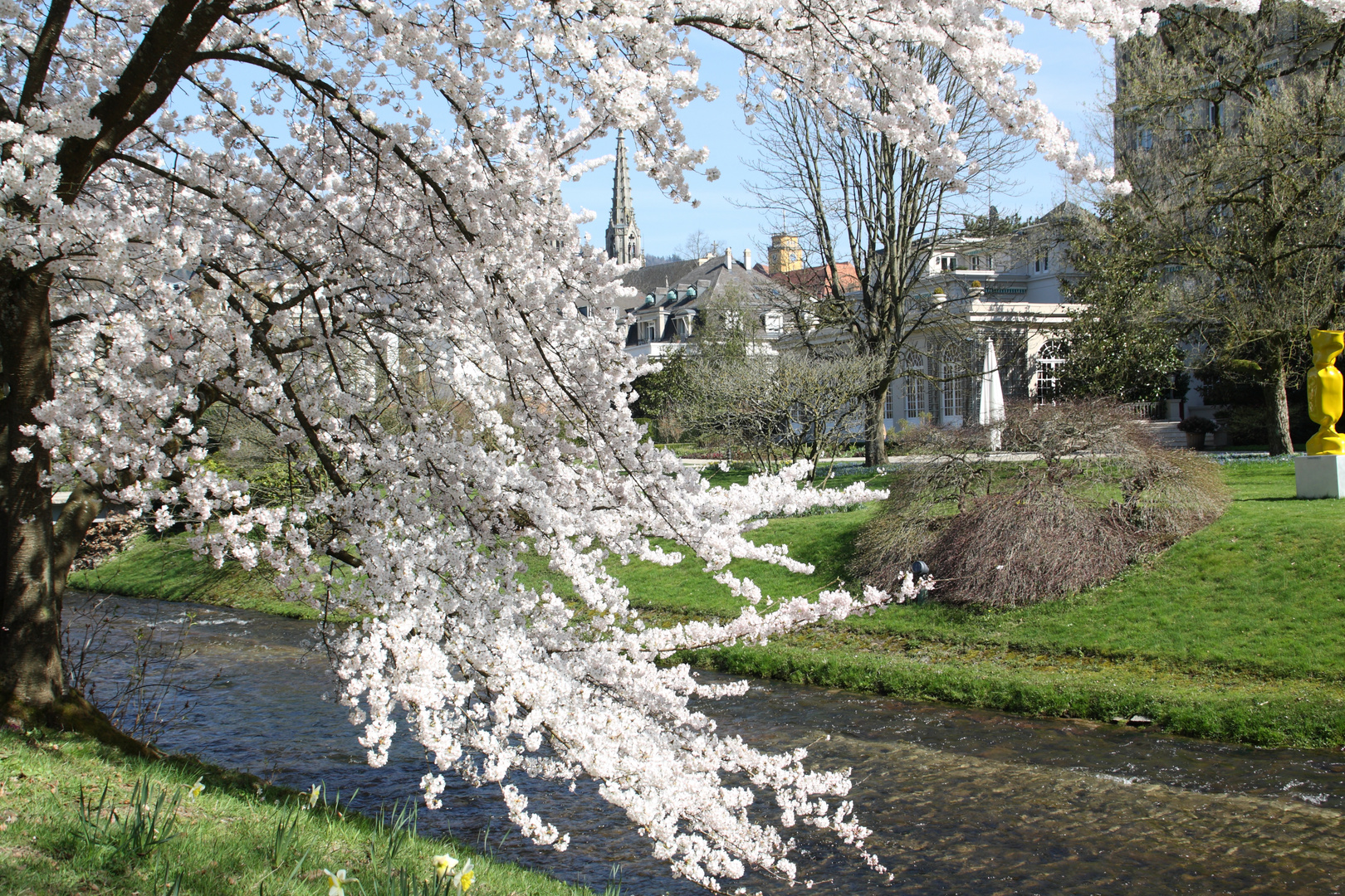 Frühlingserwachen