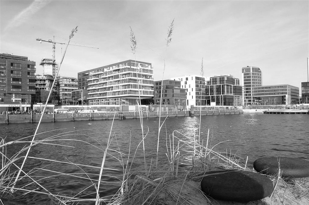 Frühlingserwachen HafenCity I