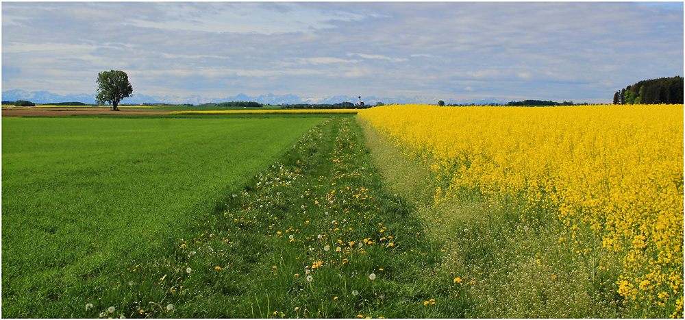 FRÜHLINGSERWACHEN  (I)