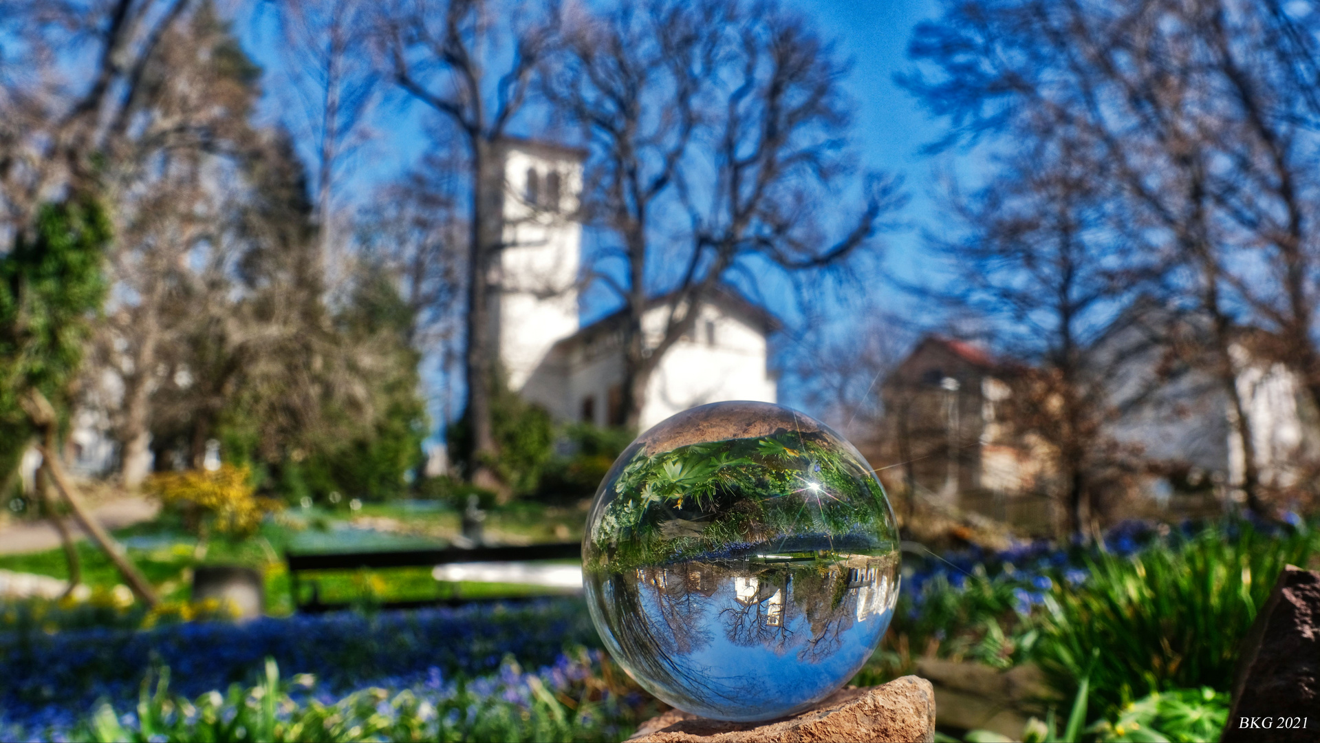 Frühlingserwachen III - Botanischer Garten Gera 