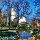 Frühlingserwachen III - Botanischer Garten Gera 