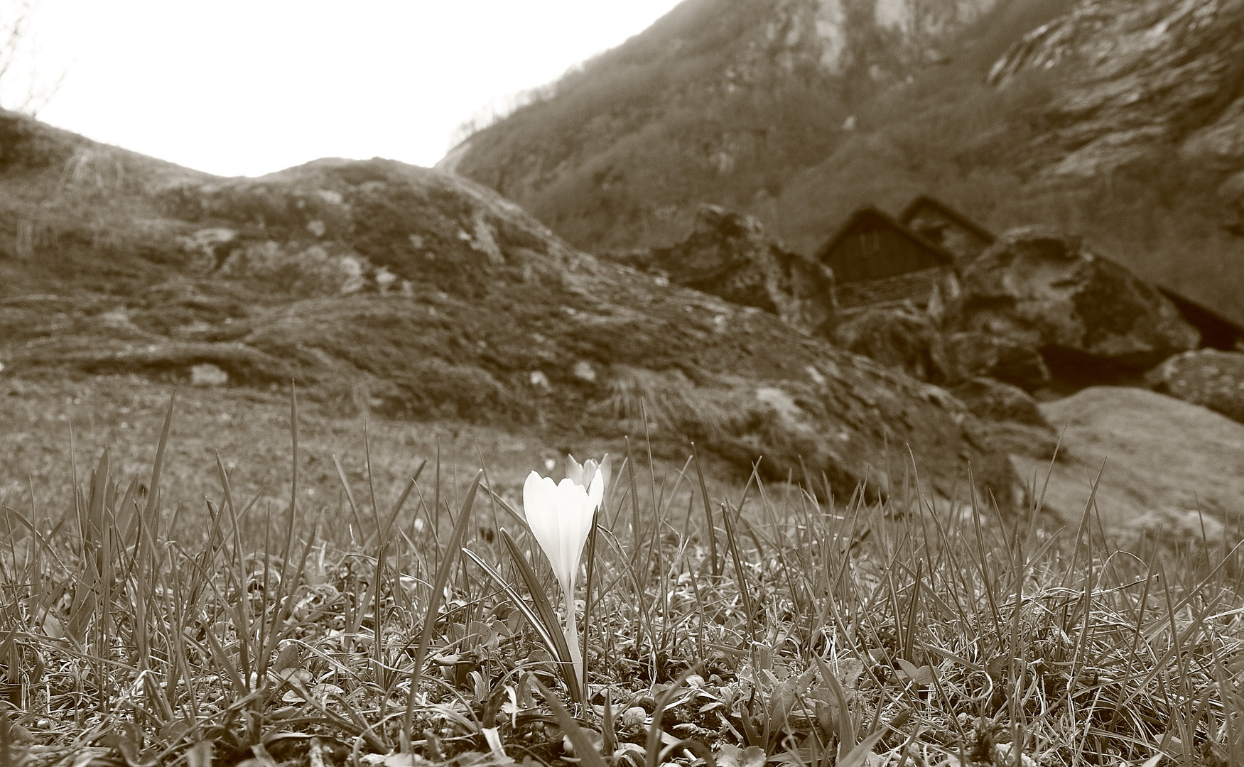 Frühlingserwachen im Bergdorf